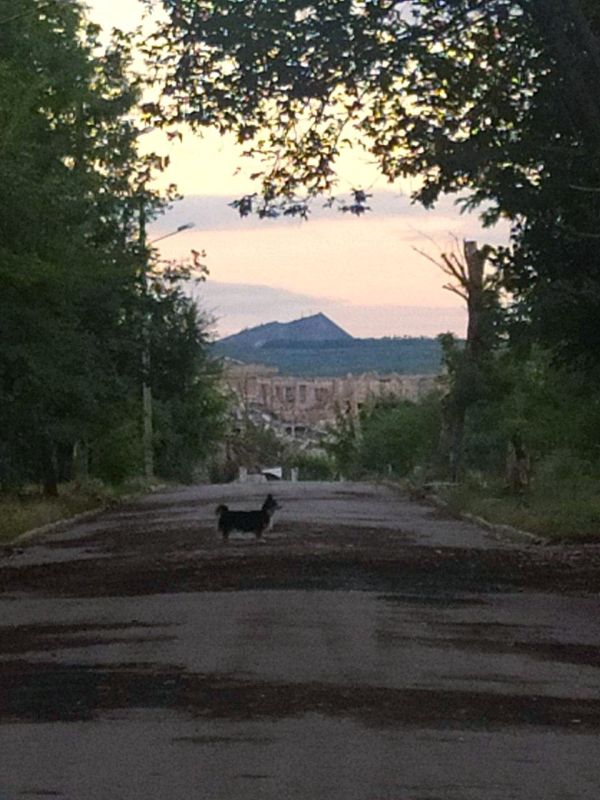 ������� ��������: ���� �������� ��� ��������� �������