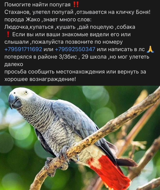 ����� ������: � ��������� ���� �������� ��������� �����