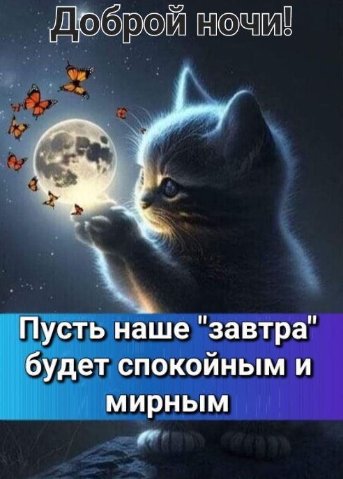 �������������� �� �����