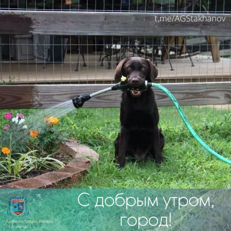 ������ ���������� ����, ������!