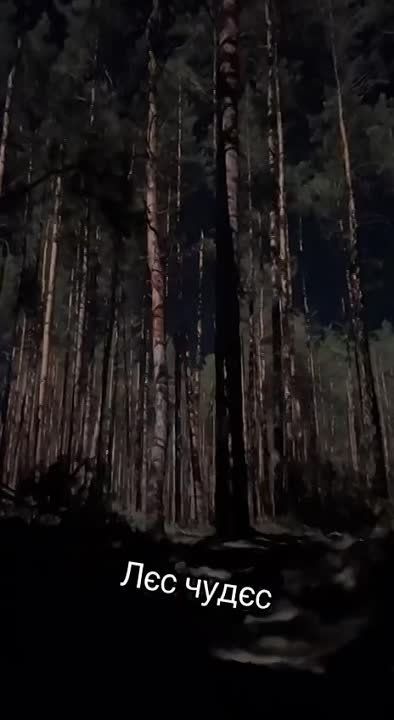 ������ ��� � ����� ��� ��������� �� ������� ���