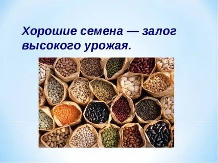 � 1 �������� 2023 ���� ������� � ���� ���������� � ����������� �������� � �������� ������� �������������������� ��������