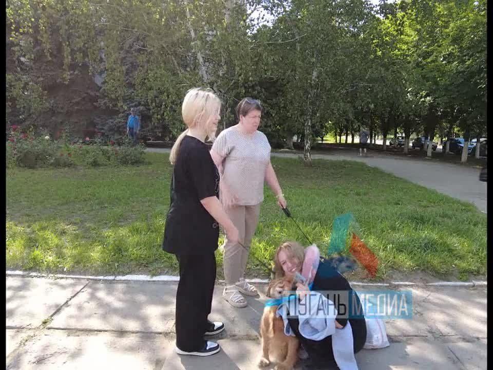 ������ �� ����������� ��������� ���������� ��������� �� ����������� ������ ���������