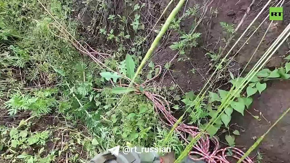 ���������� ������������� 2-�� ���������� ������� ��� ��������� ��������� ������ �� ��������� ���������� ���������� �� ��������������� � ��������� �����������, ����������� ���� � ������� ����� �����