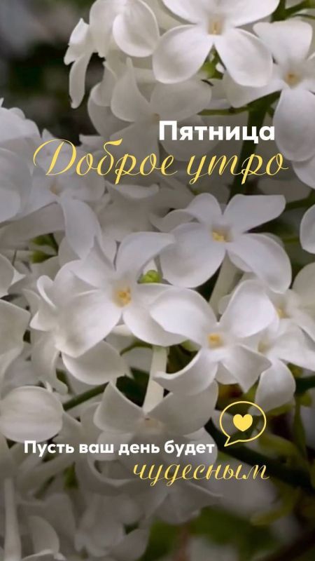 �������������� �� �����
