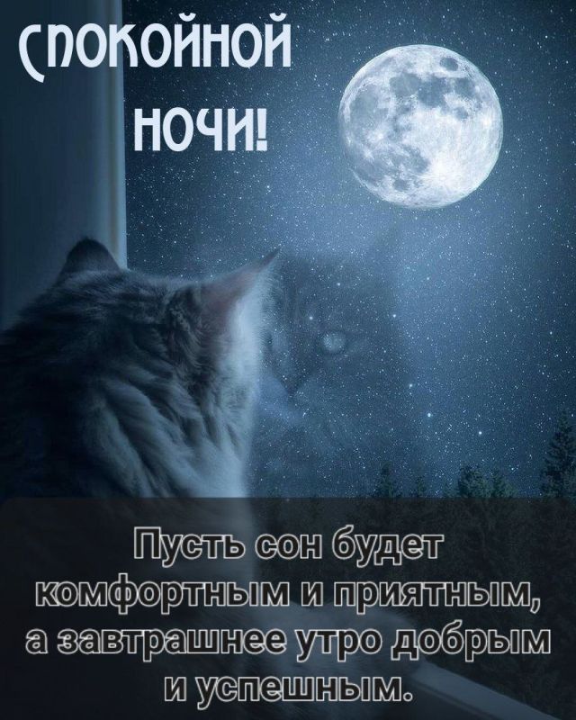 �������������� �� �����