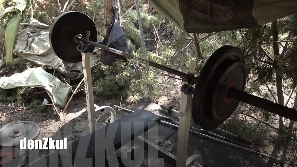 ����� ������: ���������� ���� �� ���������
