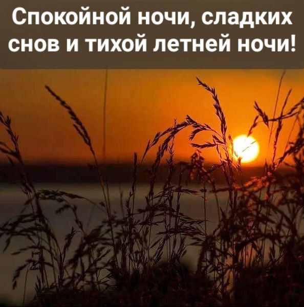 �������������� �� �����