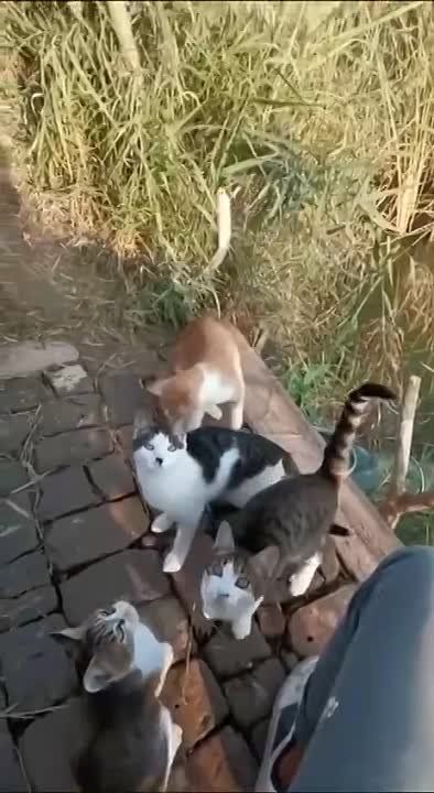 ��������� ����� ���� � �������!