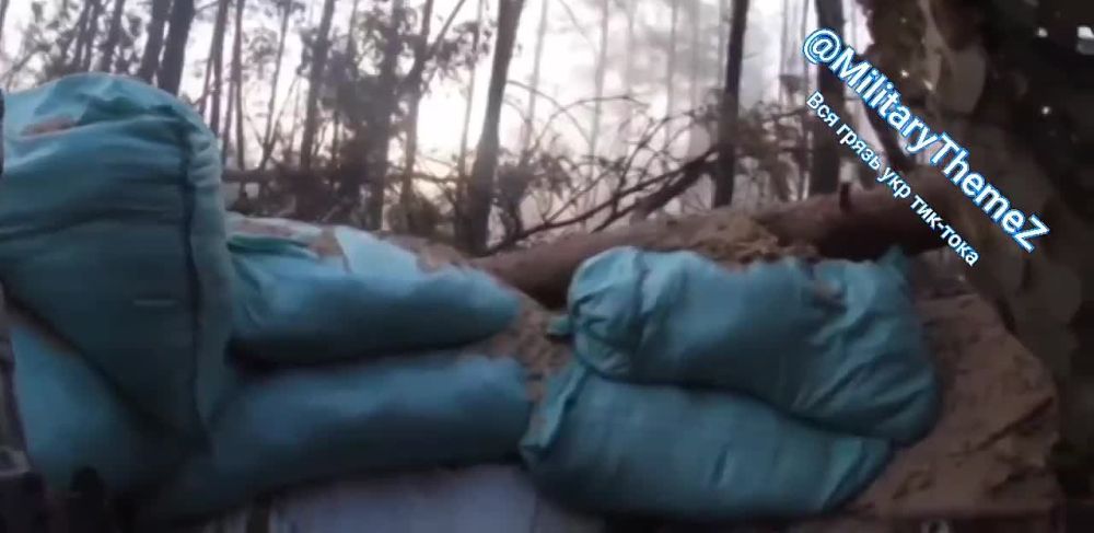 ����� �����: ��� � ������� ���. ��������� ����� �� ��. ���� �� ����� ������ ������ � ������ �� ���������