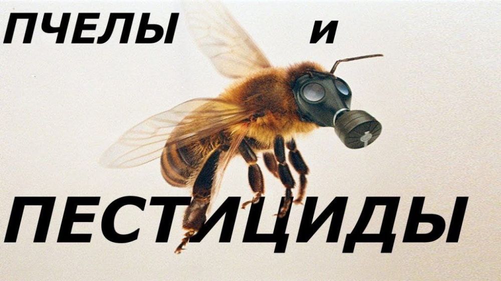 ������� ���������� �� ����