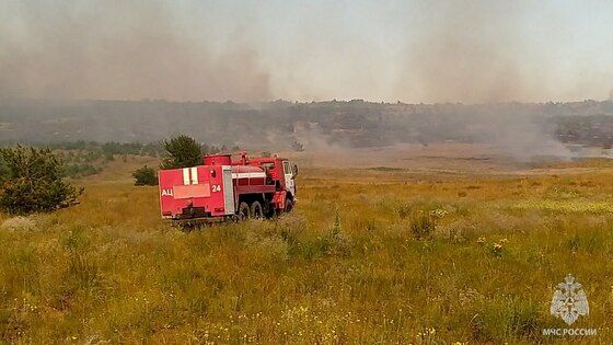 Пожар уничтожил 25 га сухостоя на территории Новоайдарского лесоохотничьего хозяйства