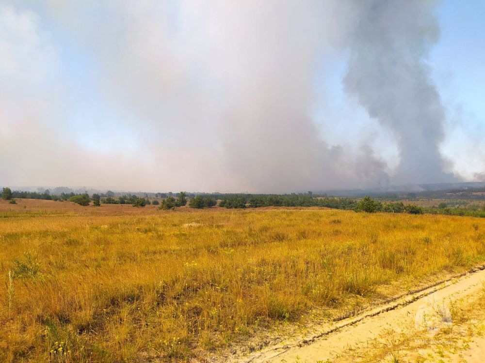 Спасатели ликвидировали возгорание сухой травы в лесоохотничьем хозяйстве