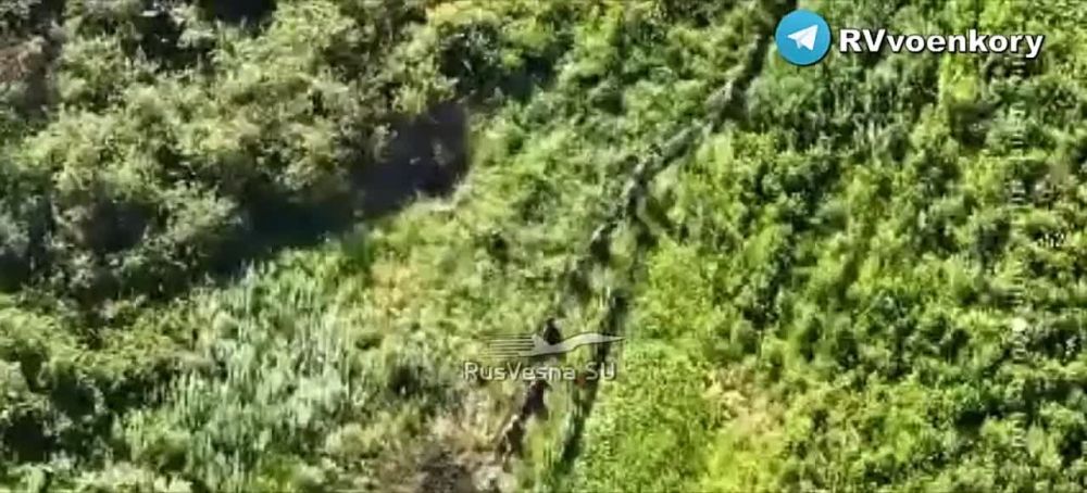 ������� �������: ���� ������������ ������������� ������������ �������� ��� ���-�� � ����� �� ���������� �����������