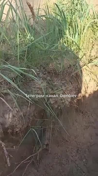 ������ �������: ���������� ����� � �������� ����� ��� � ����� ��� ���������