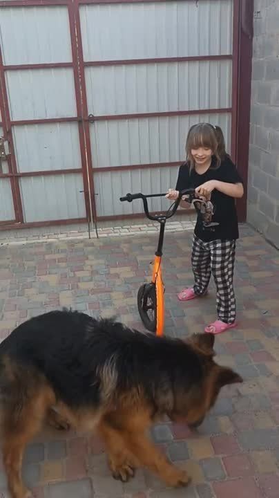 �������� ���������: ����� �� ������, �� ����� ������ ����������)