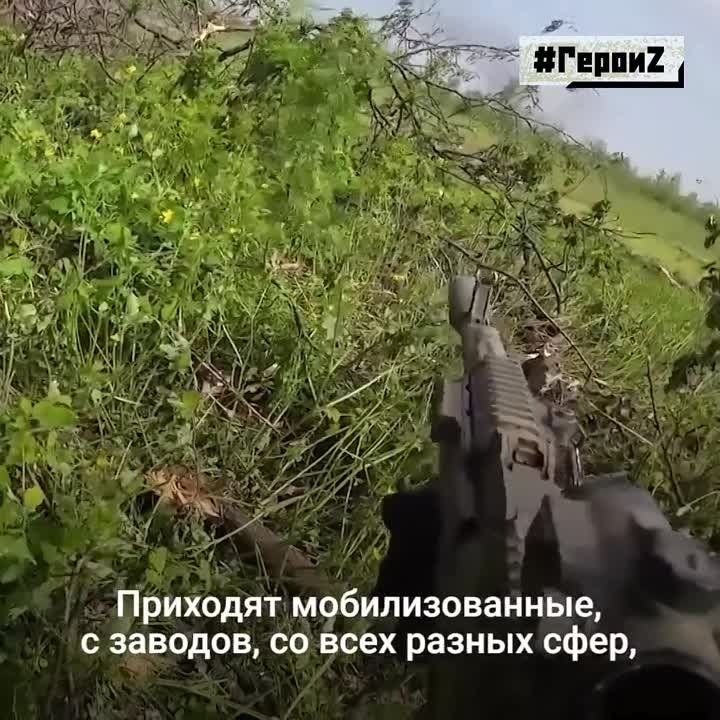 ����� �����: ��� ����� ������ � �����, ����� ����� �������