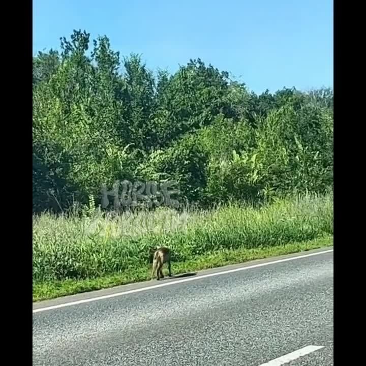 �� ������� ��� ����� ��������� �� ������ ������, �� � �����