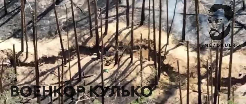 ������� ������: ���� ��������� ������� ��������� �� ����� ������, ���� ����� ��� ������� ����� �������� ���� �� ������� - � ���� ��� ���������