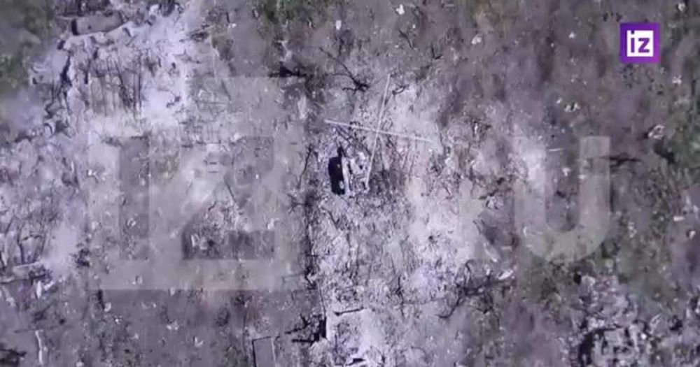 ����� ������ ������� ���� �������� "�����" � ��������