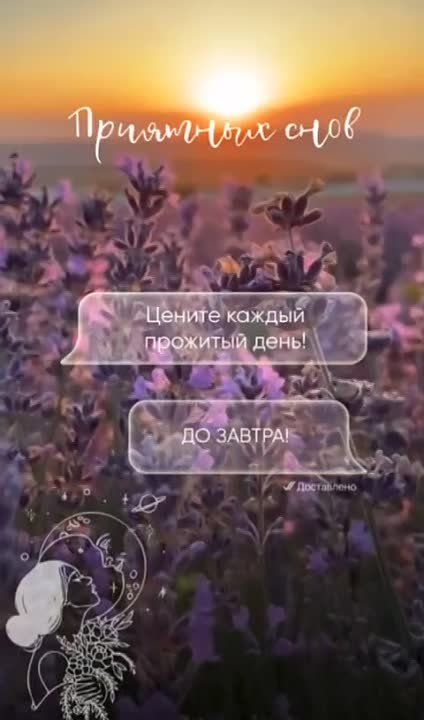 �������������� �� �����