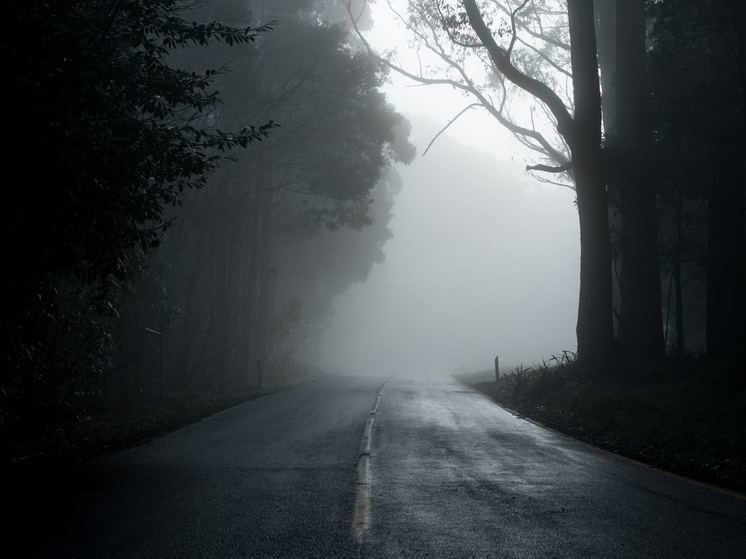 � ����������� ������� ����� � ������� 24 ���� ������� ������� � ���