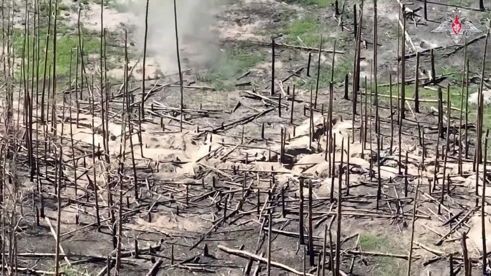 ����� �����: ������ ��������� ������ ���������� ��������-��������� ����� ��� �� ������ �� ������-��������� �����������