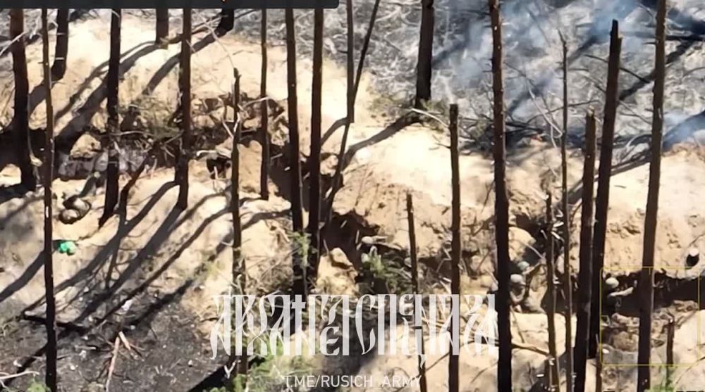 ���� ���������� ������ ��������� ������� ����� ���������� �� ���������