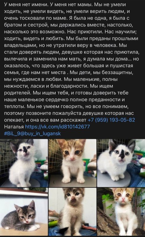 ����� ������: ��������� ������ ���� ���!)