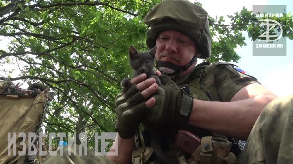 ������� ��������: ������� ������ ����� ������ ��� ������-������������ �� ������ ����-12