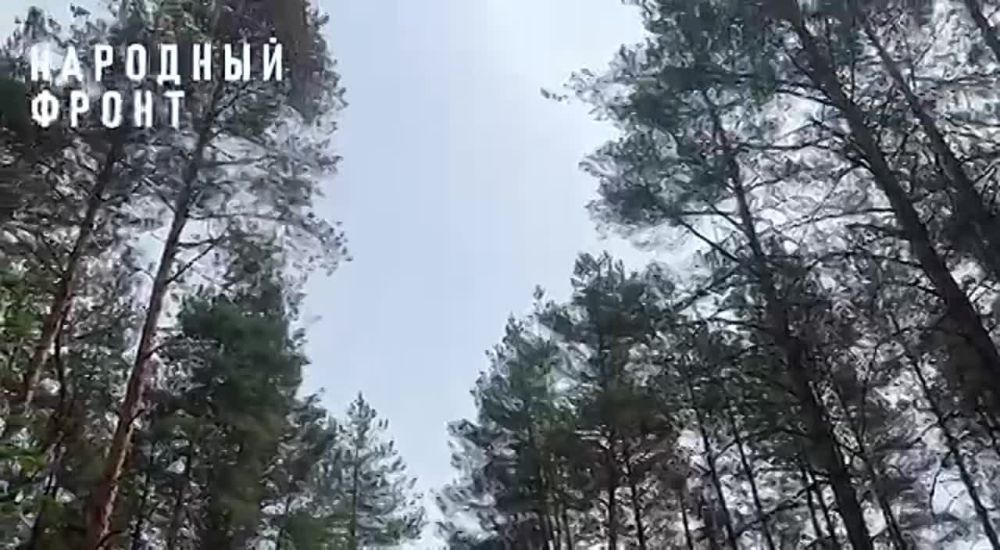 ���������, ��� �������� ������� � ������� ��������?