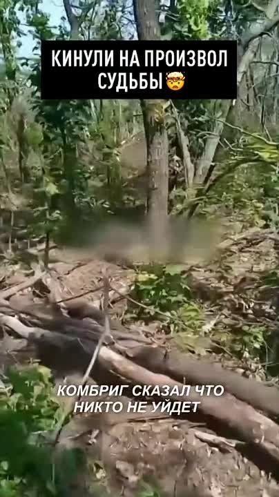 ������ �������: ������� ������� ������ � ��� �������