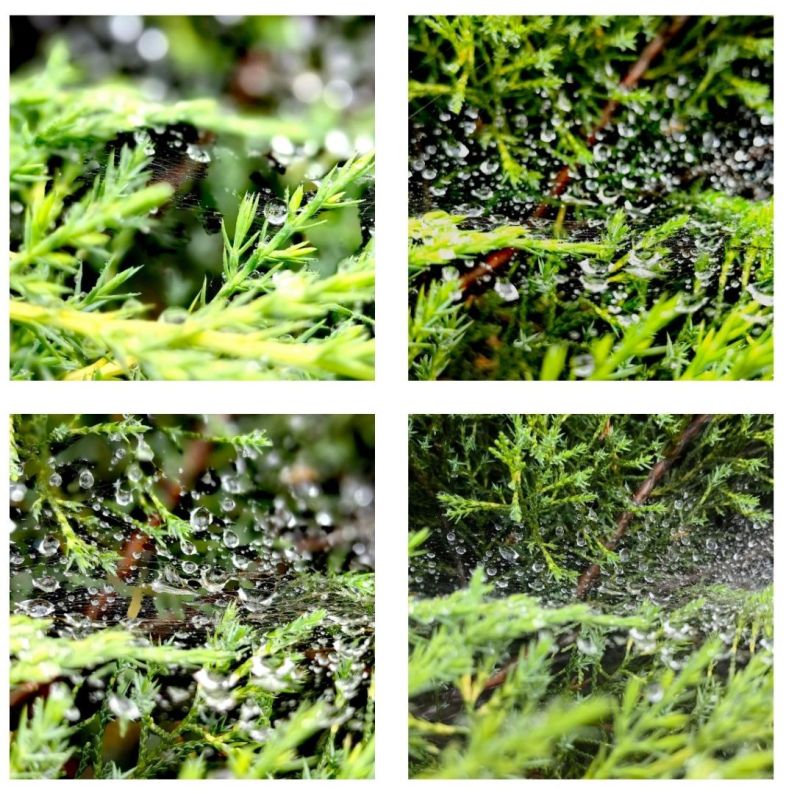 ���� ���������: ���� � ���������.. ��������, ��� �� ����� ������� ����������� ������������