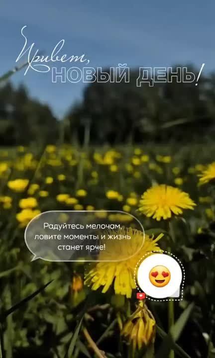 �������������� �� �����