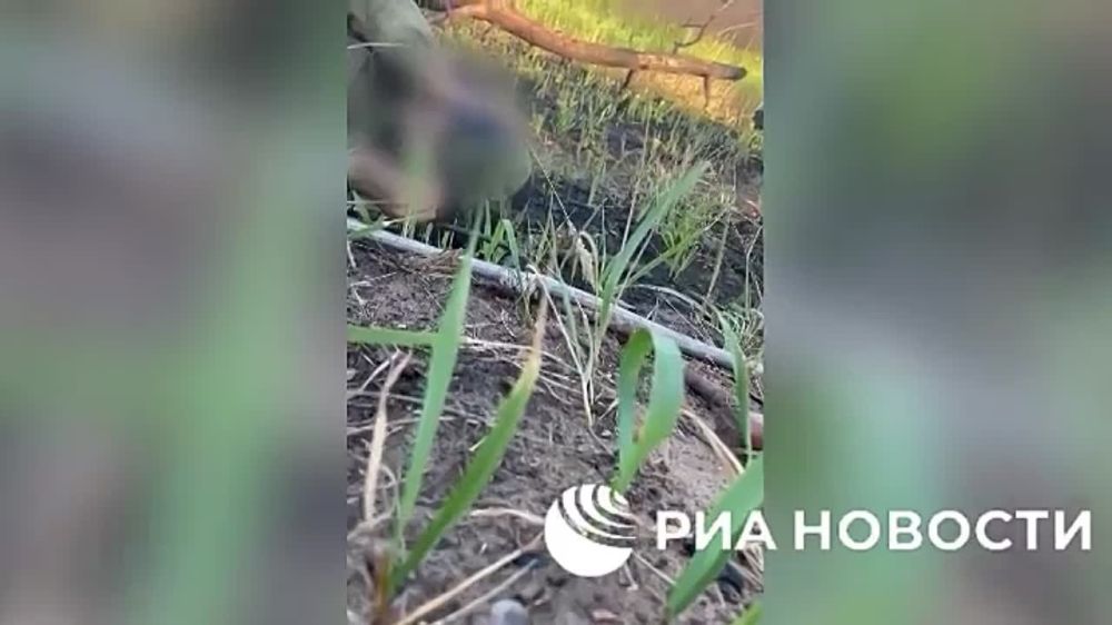 ����� ��� �� ������ ������ ��� �������, ����� ������������ � ��������� �������� � ������ ���������