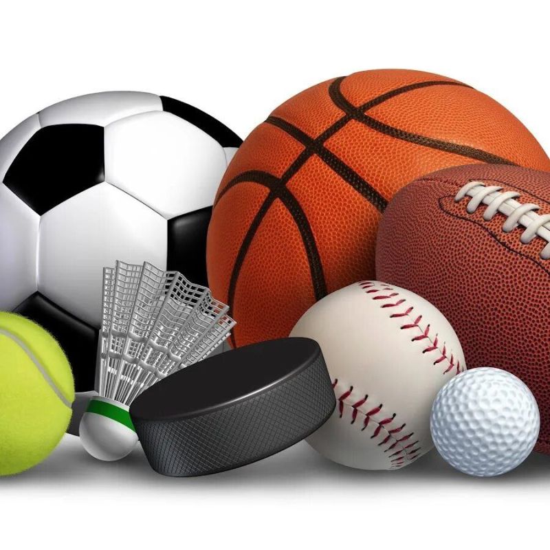 ЛНР. Министерство спорта ЛНР рассмотрит вопрос создания отделений Олимпийского и Паралимпийского комитетов Об этом сообщил исполняющий обязанности главы ведомства Олег Шеренешев