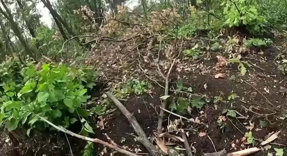 ������ �������: ��������, ����� ������ ������ ����� ������� 4-� ��������� �������������� ������� �� �� ( ������ 2 �� ���)