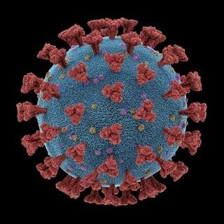 � ���������� �� ������ �������� 13 ������� �������������� ���������, �������� � ��������� ���