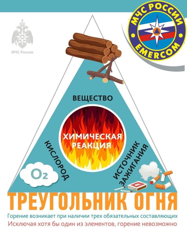 ������ ������������� ������������ ���߻