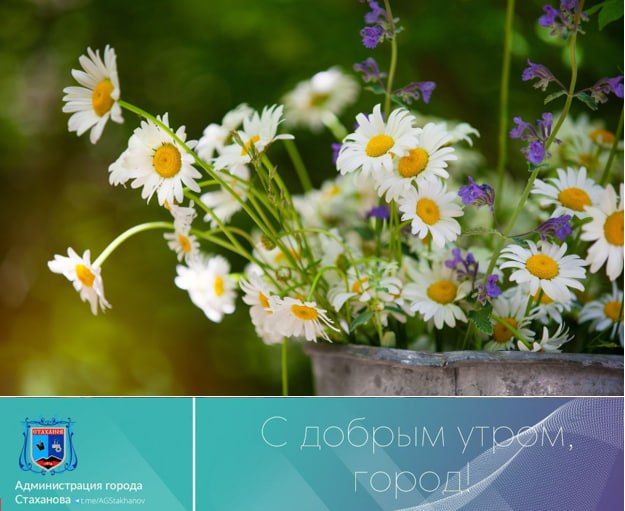 � ����� "���� �������" ������ ������� ���� ������������� ������: