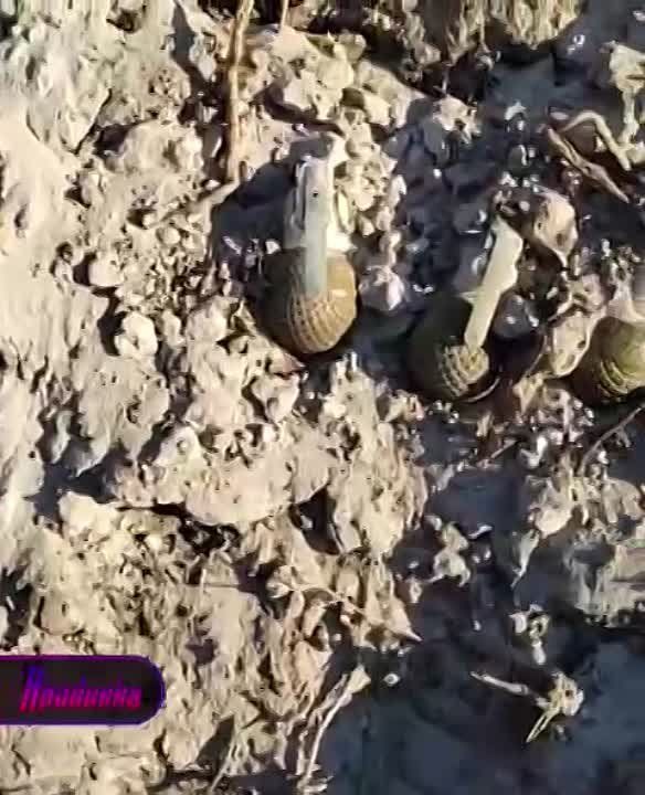 ���� ��� �� ������ ��������� � ������� ���������� ��������� ������� ����� ����� �� ��������������� �����������