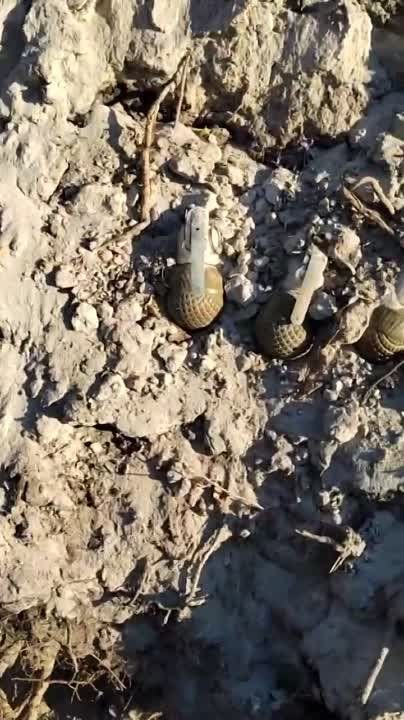 ���� ��������: ��� ��� ������, ������ ���� ����������� ����������� �����������. ���� ����������� ������� ������������...