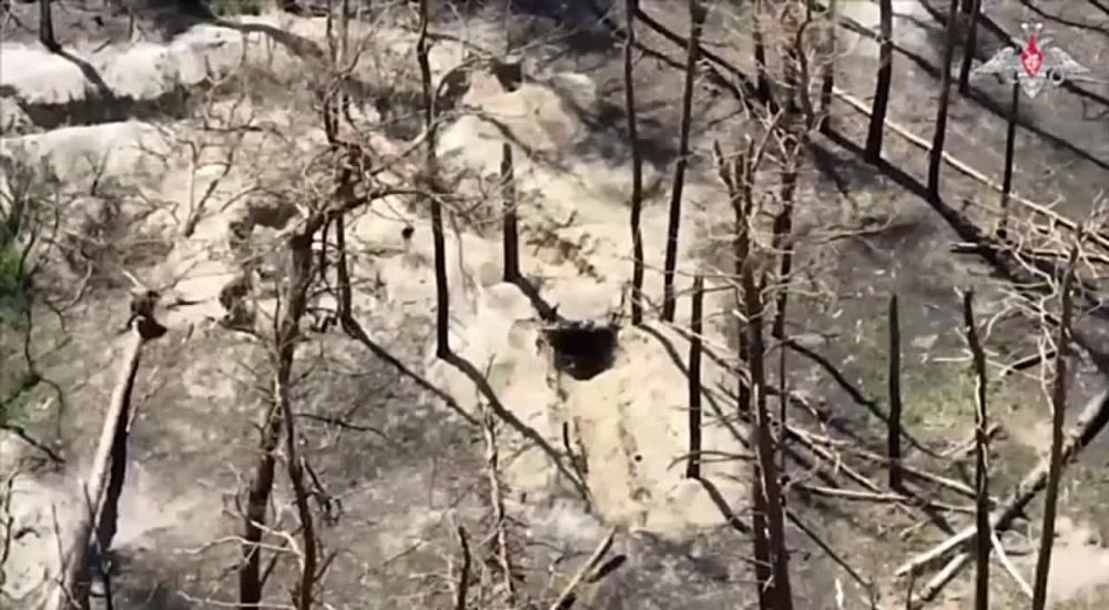 ������ �������: ������ � ����������: ��������� ������������� ��� ��������� ������� ������ ��� � ������ ���������