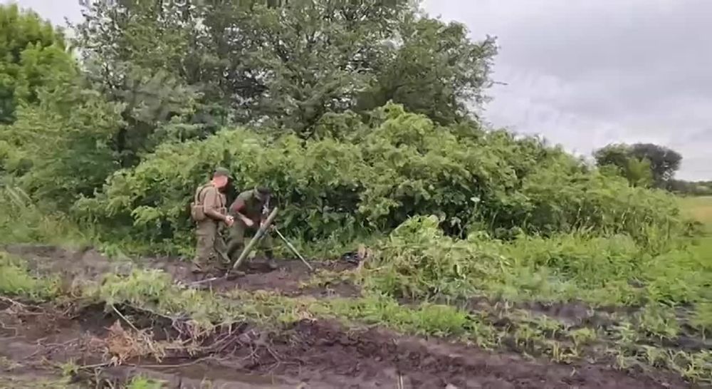 �������� ���� ����������. ���������. ������ ����������� ���������