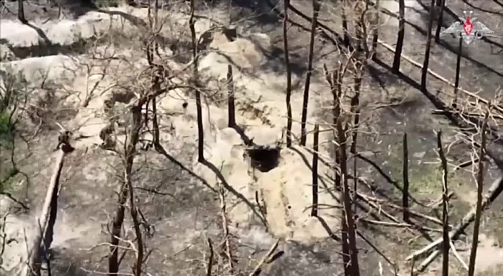 ��������� ���: ������ ����� �������� ���������� ����������� �� ���������, ������� ������� ������� ����������