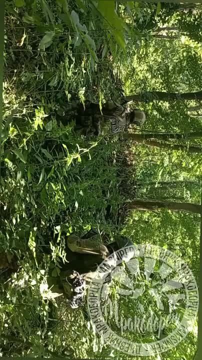 ������������� �� ���������-�������������� ����� ���������� ����������� �������� �����, ��������� � ������� 3 ������� � ����������� �������