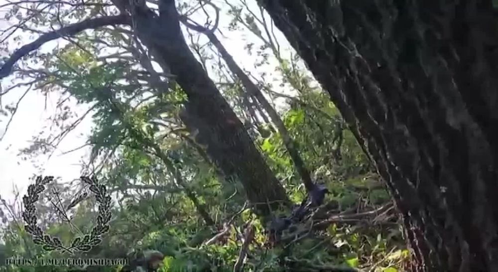 ���� �������: ��� � ������ ���������, ������ �� ���� ������ �� �������� ������ ��� ���. � ����� ����� �������� �������� ���� �� �������� �������