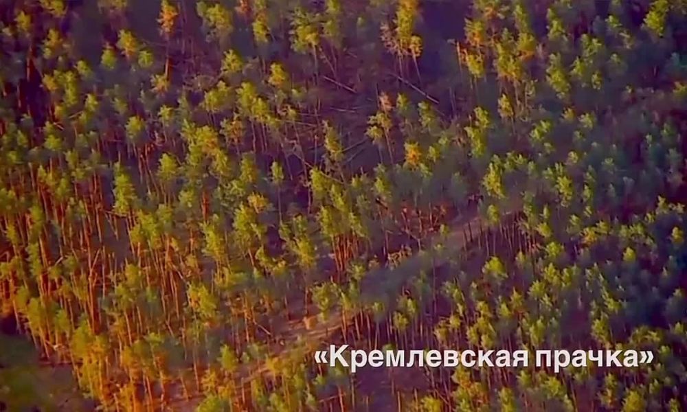 24-� ��������� ������� �������� ��� �� ������ ������������ ������������� ����� �� ������� ������ ����������� ������������� ��� �� ������� ������� � ������ ���������, ������� � ���������� ��������� �������