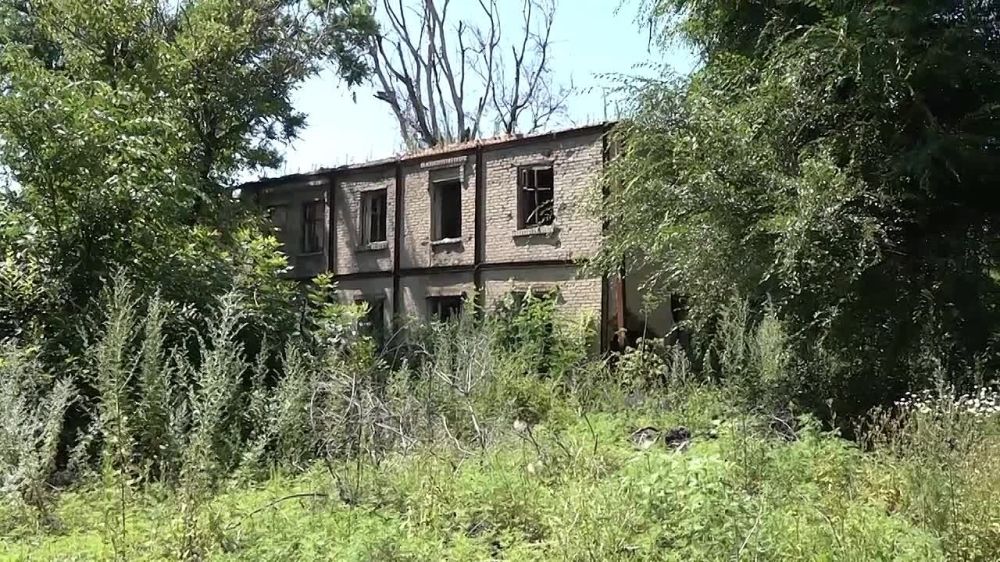 � ��������� ������ �������-3 ��������� �������� ���������� ��������� ����� � ������������