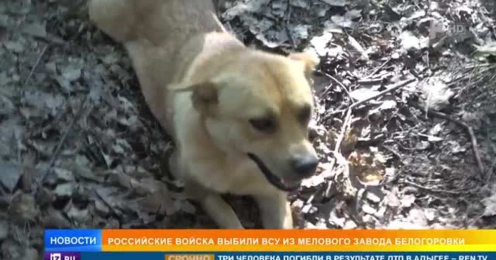 �������� ������ ��� �� �������� ������ � �����������